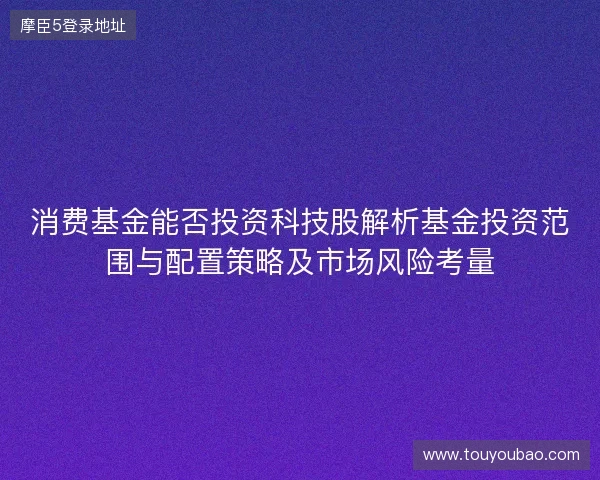 消费基金能否投资科技股解析基金投资范围与配置策略及市场风险考量