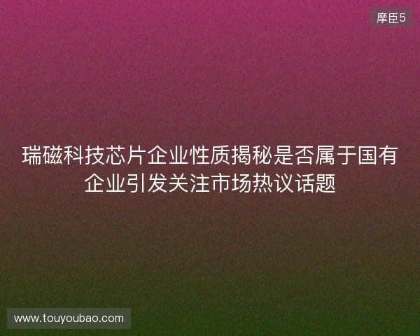 瑞磁科技芯片企业性质揭秘是否属于国有企业引发关注市场热议话题